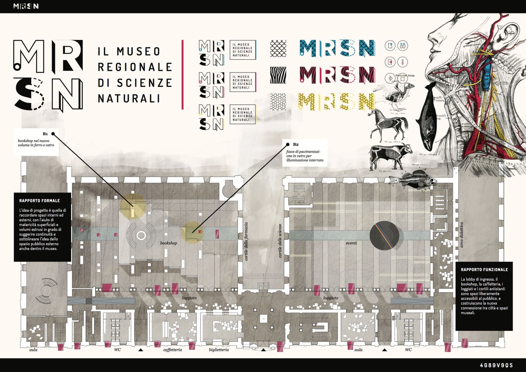 MRSN 2